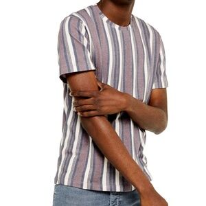 Topman Classic Fit Stripe T-Shirt in Burgundy Multi